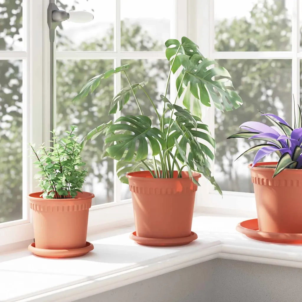 Vassoio Rotondo per Fiori 24 pz Rosso Mattone ? 14 x 2 cm CFW5855545