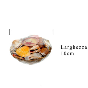 Set 12 Conchiglie Assortite con Cesti Larghezza 20 cm