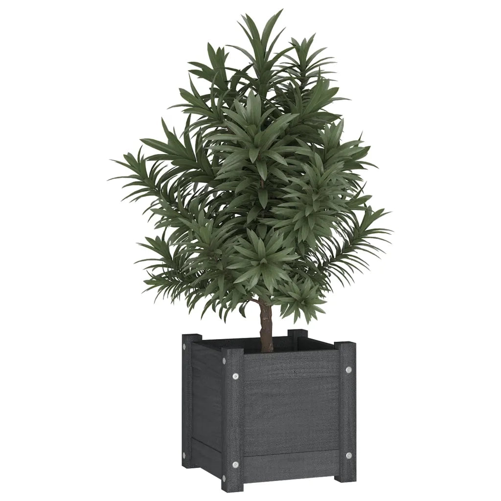 Fioriere da Giardino 2 pz Grigie 31x31x31 cm in Legno di Pino 810527