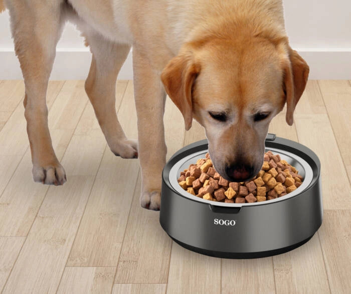 Bilancia digitale cucina con ciotola inox 5 kg precisione 1 g, display LCD touch e funzione tara per alimenti e pet - Sogo