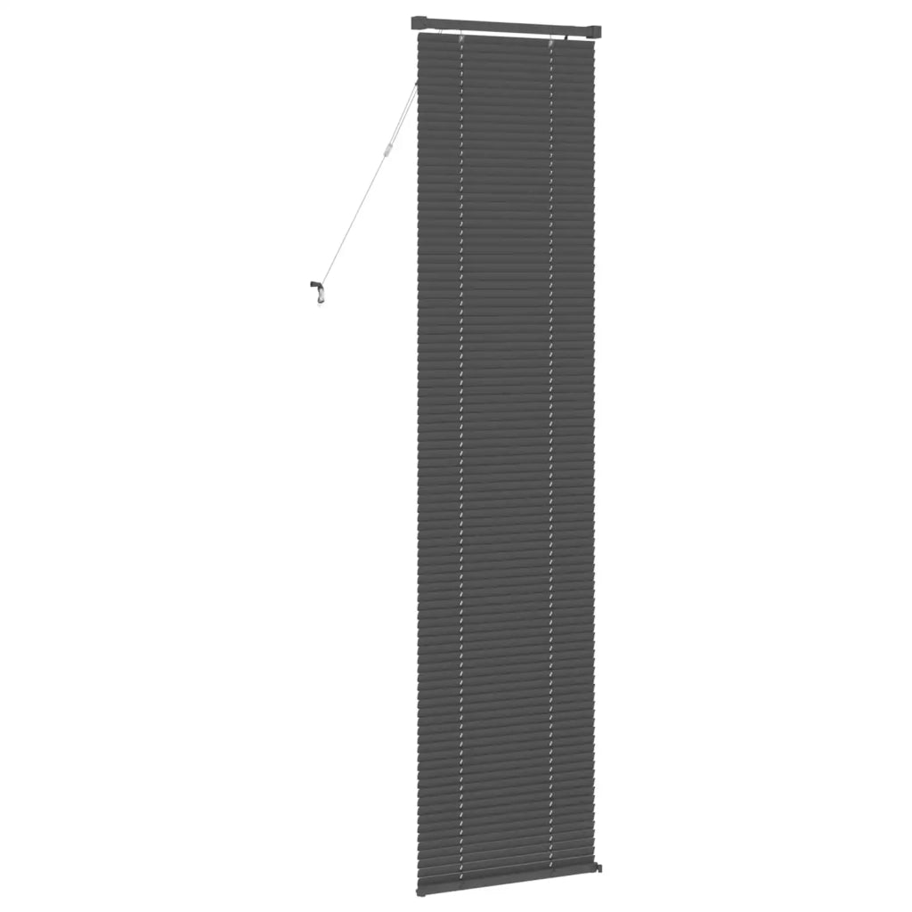 Tenda Veneziana | Tenda a lamelle Grigio Argento 213 x 60 cm 25 mm PVC