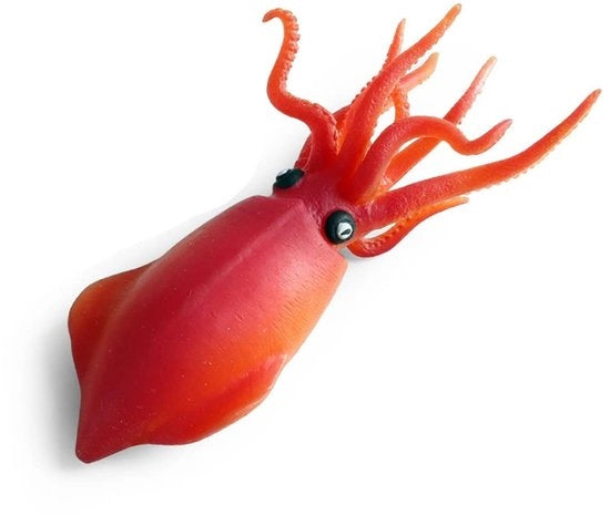 Giocattoli Squishy - Animali Marini Realistici - Rilassanti - Materiale a Base di Gomma - Giocattoli da Premere - Adatti a Bambini - Materiale TPR - Giocattoli per Decomprimere
