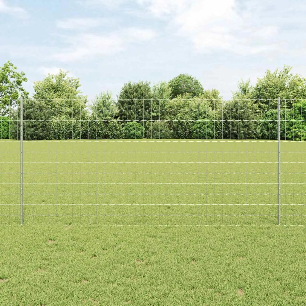 Recinzione Euro con palo 25 x 1,2 m Acciaio zincato Argento 3336200