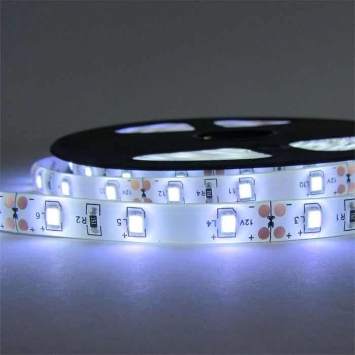 Striscia LED 5m 4,8W/m 6500K 300lm/m 12V IP63 Ecolight