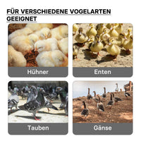 Fudajo Chioccia artificiale 40x40cm 42W Piastra termica per 30-35 pulcini con temperatura regolabile