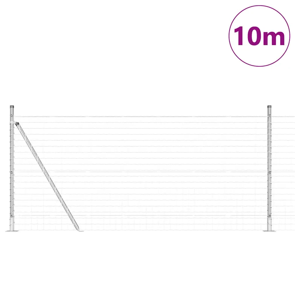 Recinzione con Posto Argento 0,8 x 25 m Acciaio