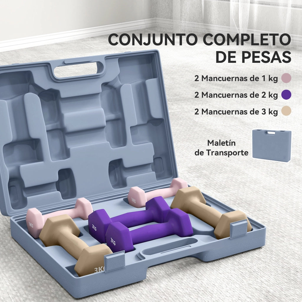 Set di manubri da 6 pezzi 2x1kg 2x2kg 2x3kg ¨C zephmum ¨C con borsa trasporto