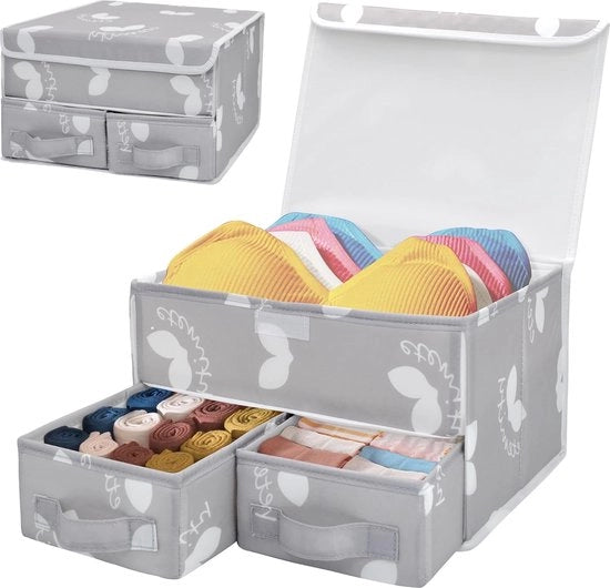 Set di 2 organizzatori per intimo, organizzatore per la stanza degli abiti per reggisen, cassetto pieghevole per la conservazione degli slip, organizzatore per la stanza degli abiti, sistema di organizzazione della vestiarium per slip, calze e cravatte.