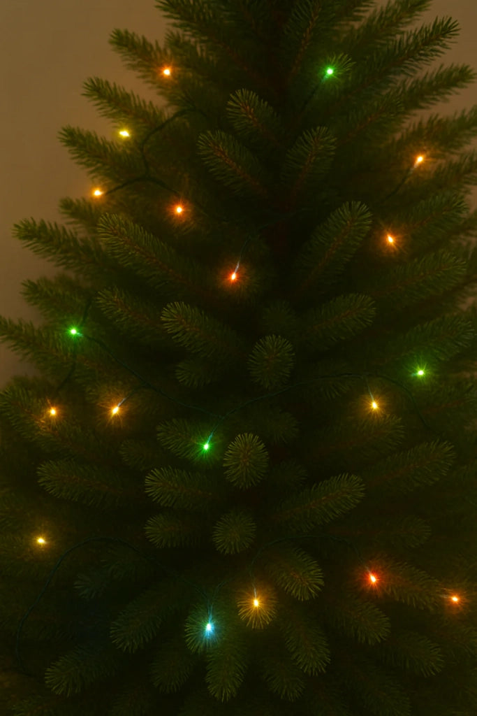 LUCI DI NATALE A LED 100LED MULTICOLOR INTERNO ESTERNO IP44 8 GIOCHI DI LUCI CON MEMORIA