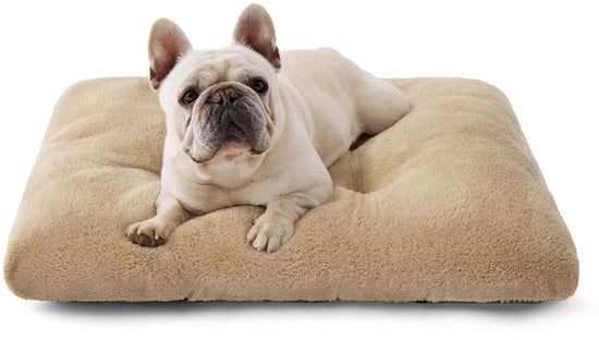 Hondenbed Wasabile Grande - Materasso Calmante per Cani con Fondoscalo Antiscivolo, Cuscino Caldo per Grossi Animali di Casa, 74x53x8cm