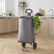 Trolley Portaspesa 'Nørre' Carrello da Spesa Portapacchi a 2 Ruote Telaio Pieghevole Borsa Impermeabile Rimovibile 36 L 30 kg - Grigio Scuro / Nero [en.casa]