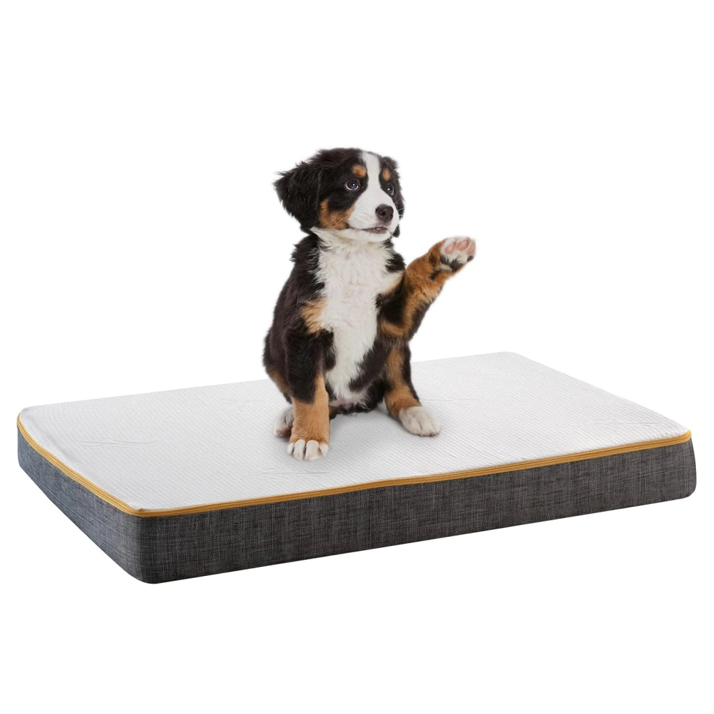 Cuccia Cane Taglia grande ï¿½ Materasso per Cani e Gatti, con tessuto anallergico Sfoderabile traspirante Lavabile, Lettino Imbottito Made in Italy 100% - CUCCIA 70x90