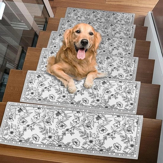 Trappeto di assorbimento per acqua a base di diatomee - 15 pezzi - Antiscivolo Sicurezza - Trappeto per corridoio interno per animali domestici - Trappeto scalini