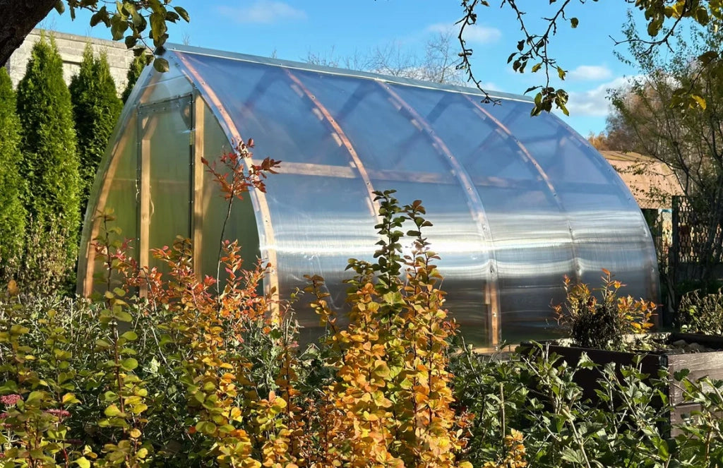 Serra da giardino Arched Wood 3 x 6 m (18 m²), 4 mm con rivestimento in policarbonato