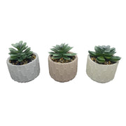 Trade Shop - Set 6pz Pianta Verde Finta Con Vaso Ceramica Geometrico Nido Ape 8x8xh12cm 3 Colori 158005 -