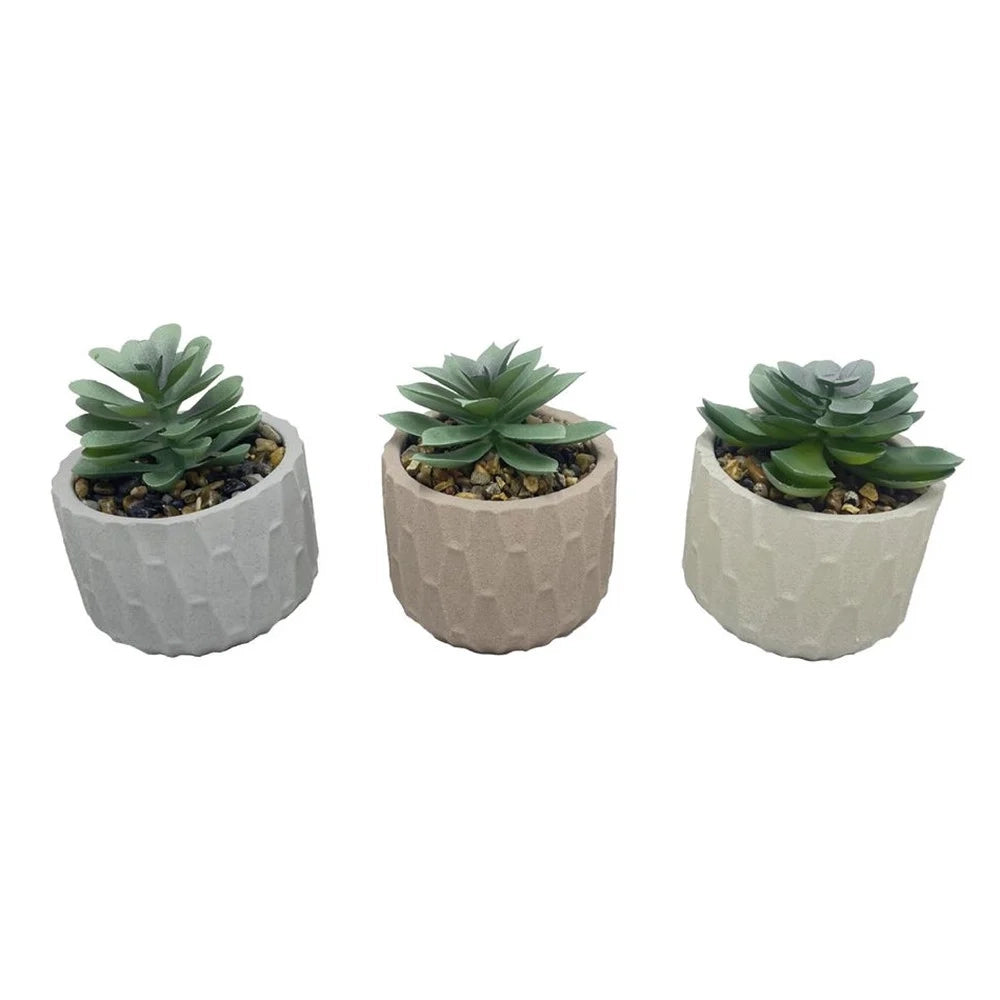 Trade Shop - Set 6pz Pianta Verde Finta Con Vaso Ceramica Geometrico Nido Ape 8x8xh12cm 3 Colori 158005 -