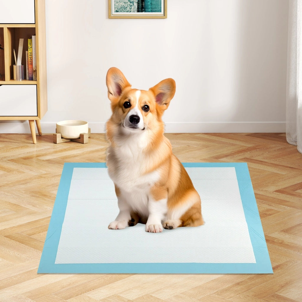 Tappetini per animali domestici a 6 strati a prova di perdite-Asciugatura rapida tappetini da interno ed esterno 76 x 76 cm Blu