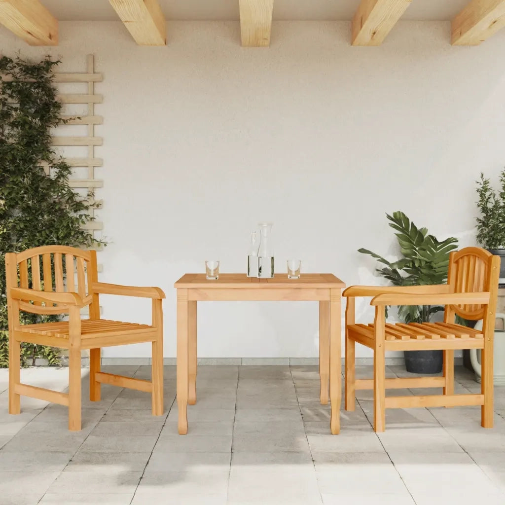 Sedie da Giardino 2 pz | Sedie da Esterno 58x59x88 cm in Legno Massello di Teak