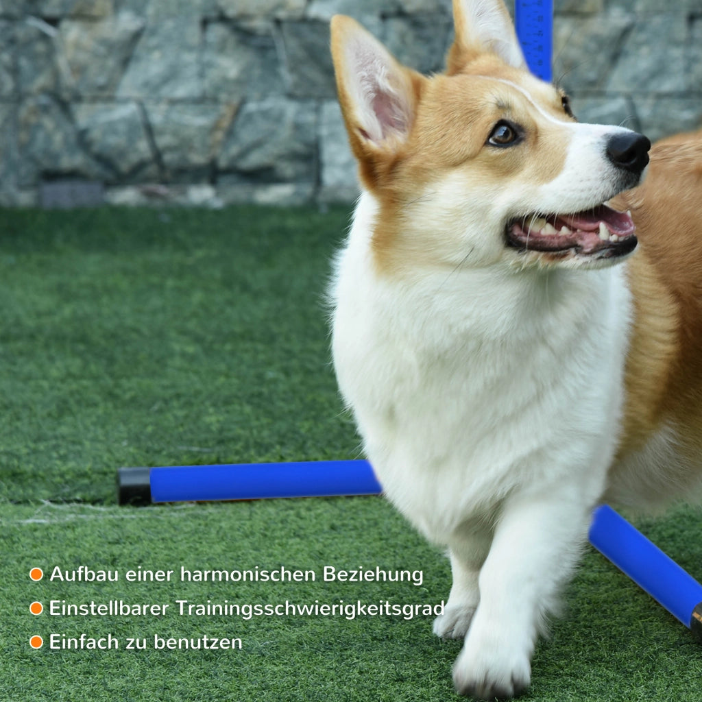 Giochi da arrampicata set agility per cani con 4 ostacoli 2 aste slalom e 4 aste a terra in plastica blu