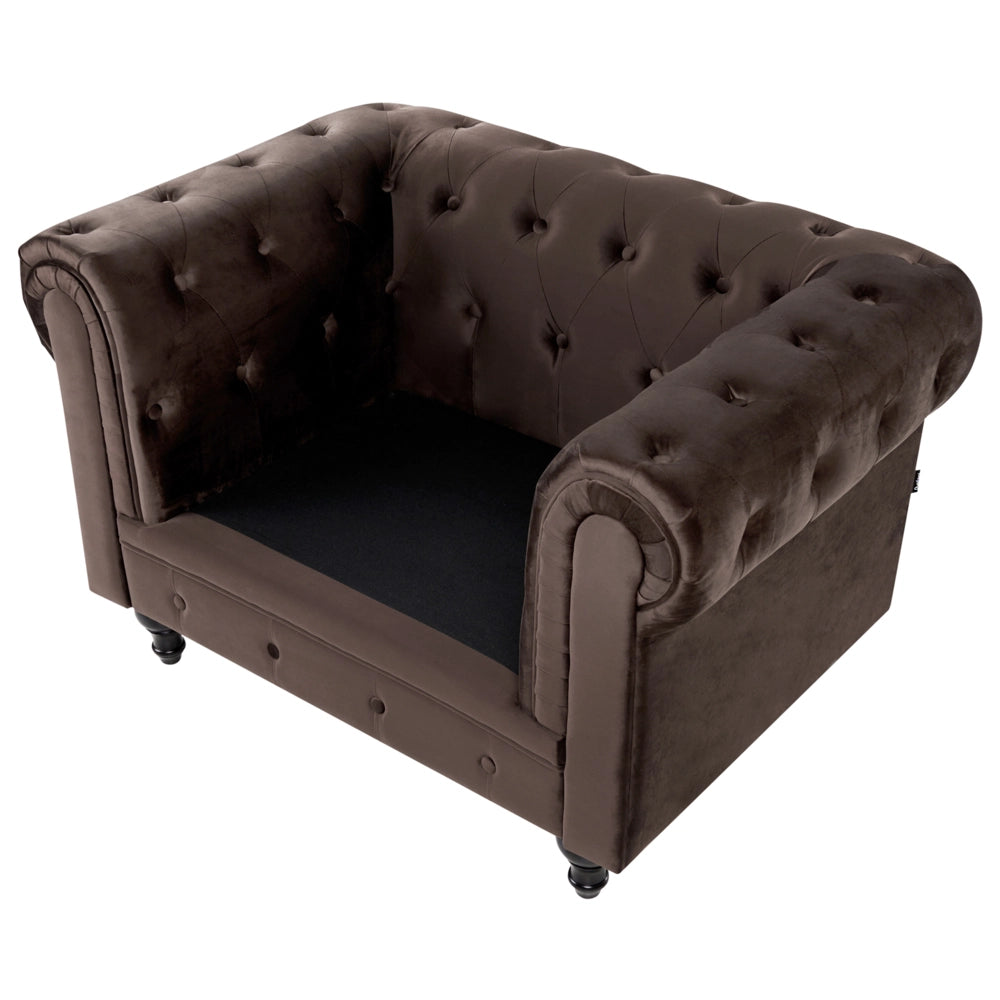 Poltrona Chesterfield in velluto marrone scuro con gambe in legno di gomma stile contemporaneo