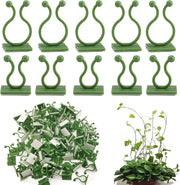 80 supporti per piante - 2 misure clip per piante da parete per piante rampicanti - supporto per cavi e cavi per parete