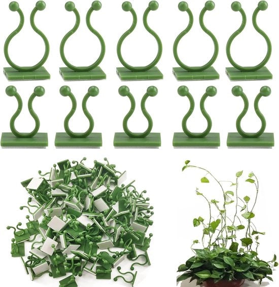 80 supporti per piante - 2 misure clip per piante da parete per piante rampicanti - supporto per cavi e cavi per parete