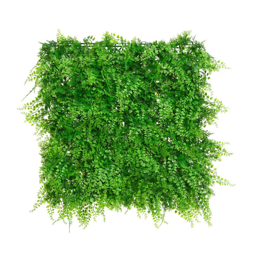 Siepe verde felce