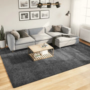 Tappeto OVIEDO a Pelo Corto Antracite 240x340 cm 375475