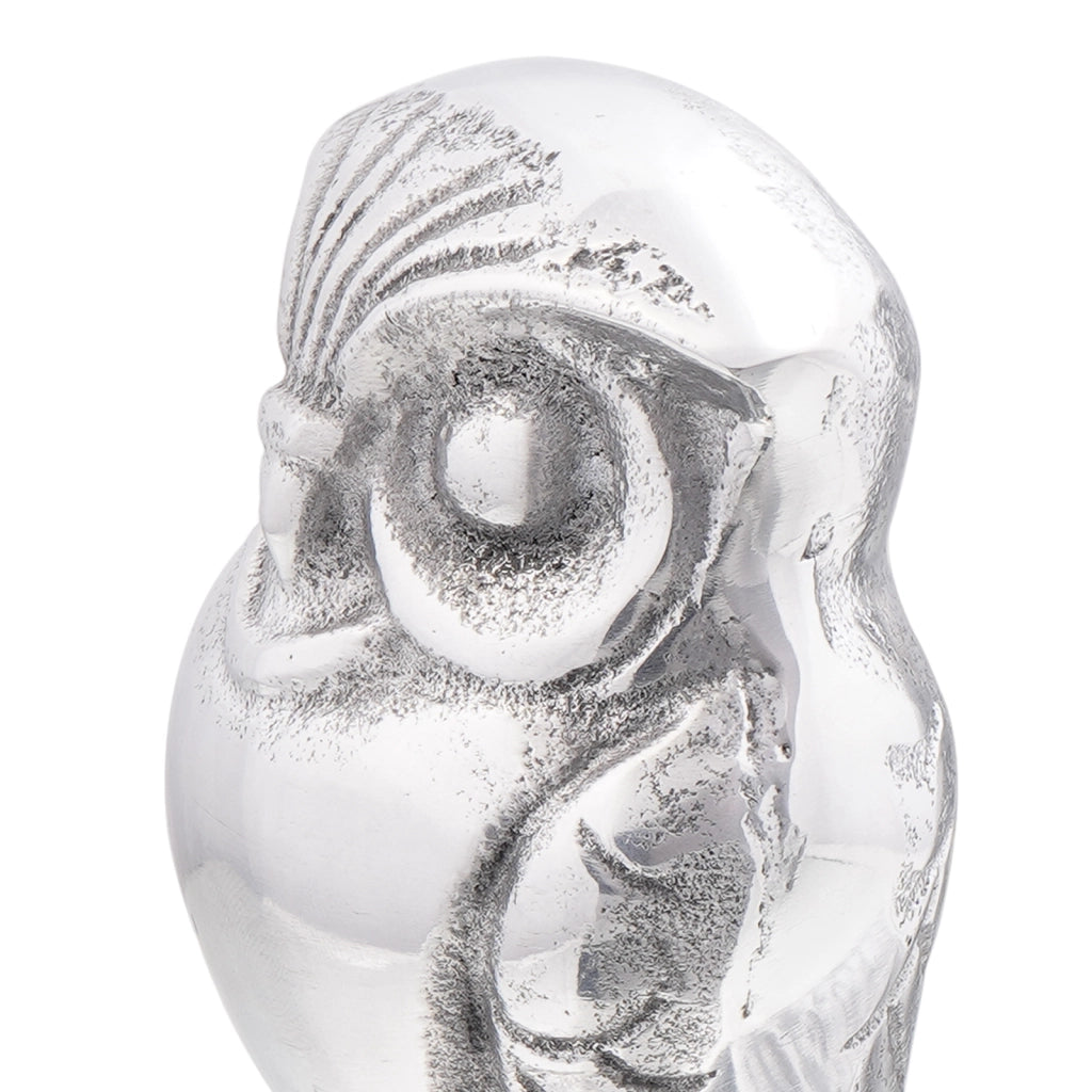 Fermalibri 2 pz Argento 12x9x19 cm Alluminio Gufo