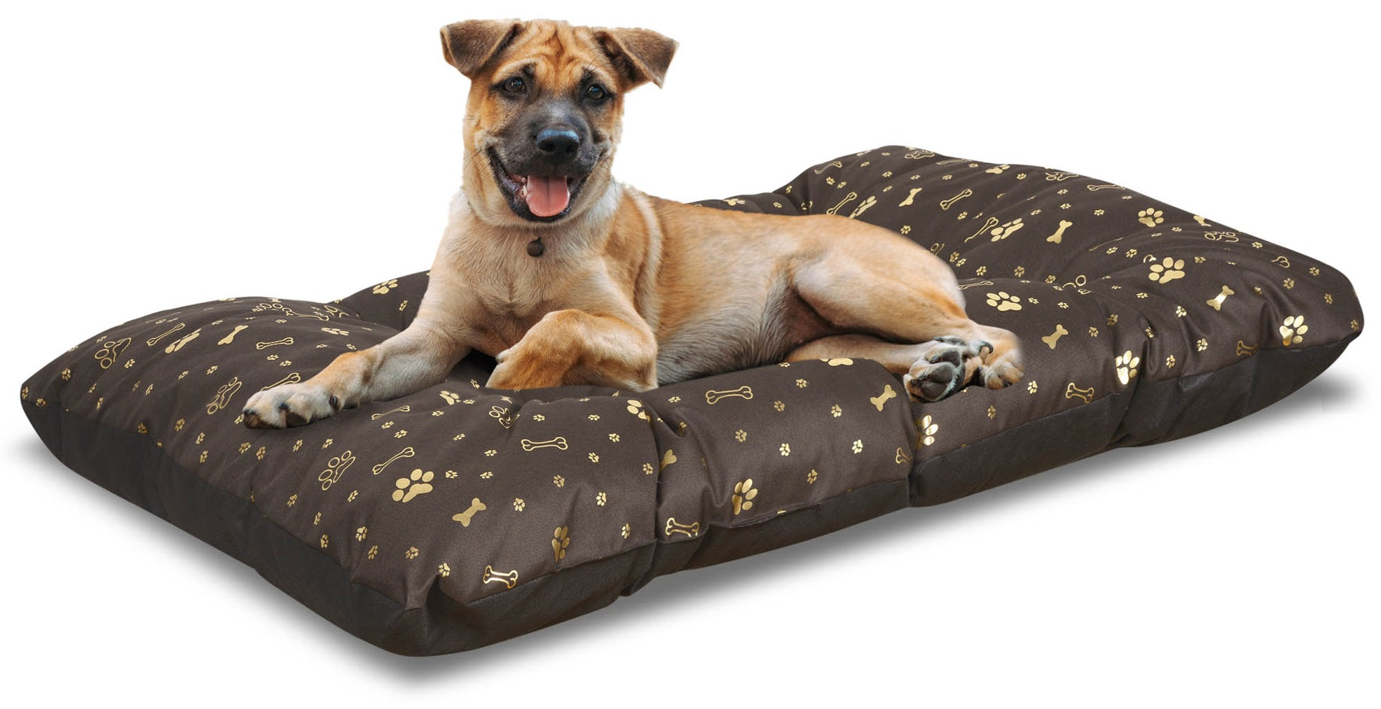 AIO FACTORY 80x60 cm PRESTIGE Letto per cani impermeabile Golden Bones