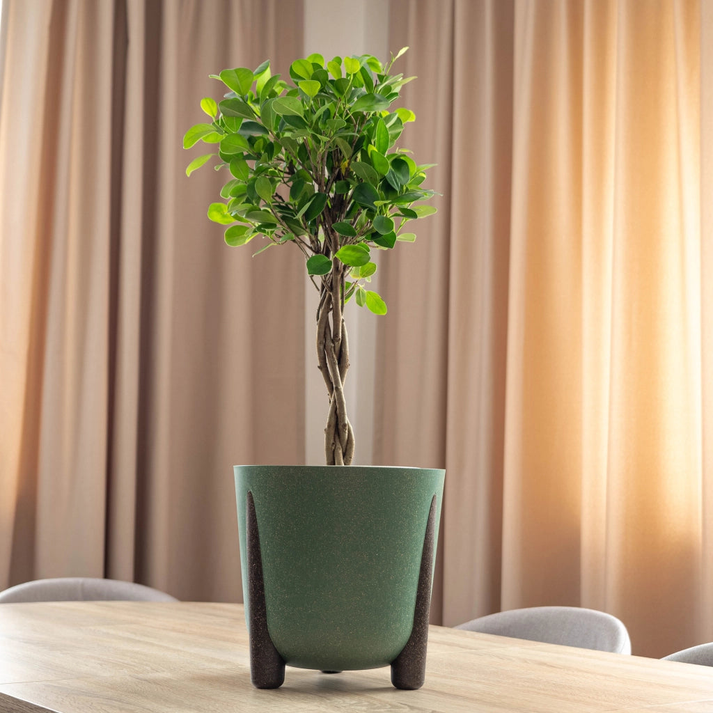 Vaso da fiori KADAX, coprivaso, con gambe, con inserto, moderno, verde, 34 cm