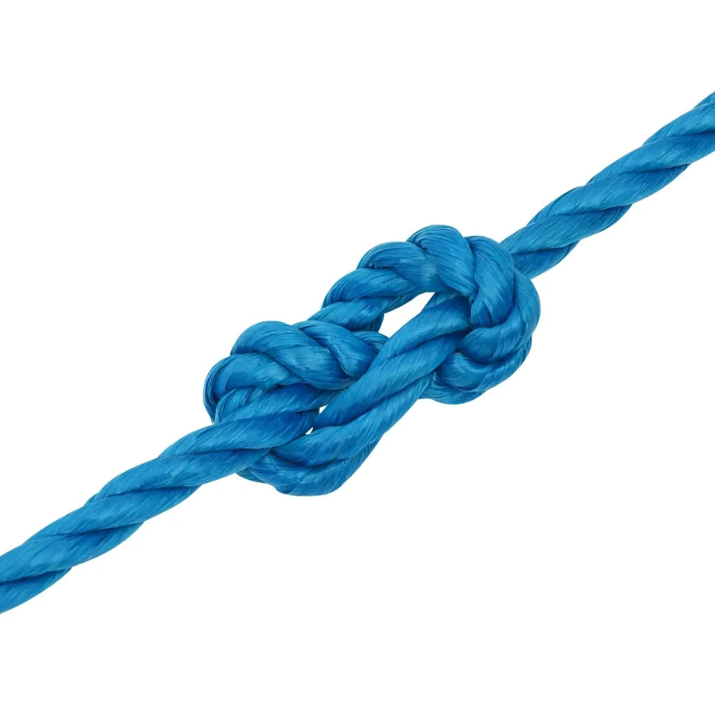 Corda da Lavoro Blu 16 mm 50 m in Polipropilene 152987