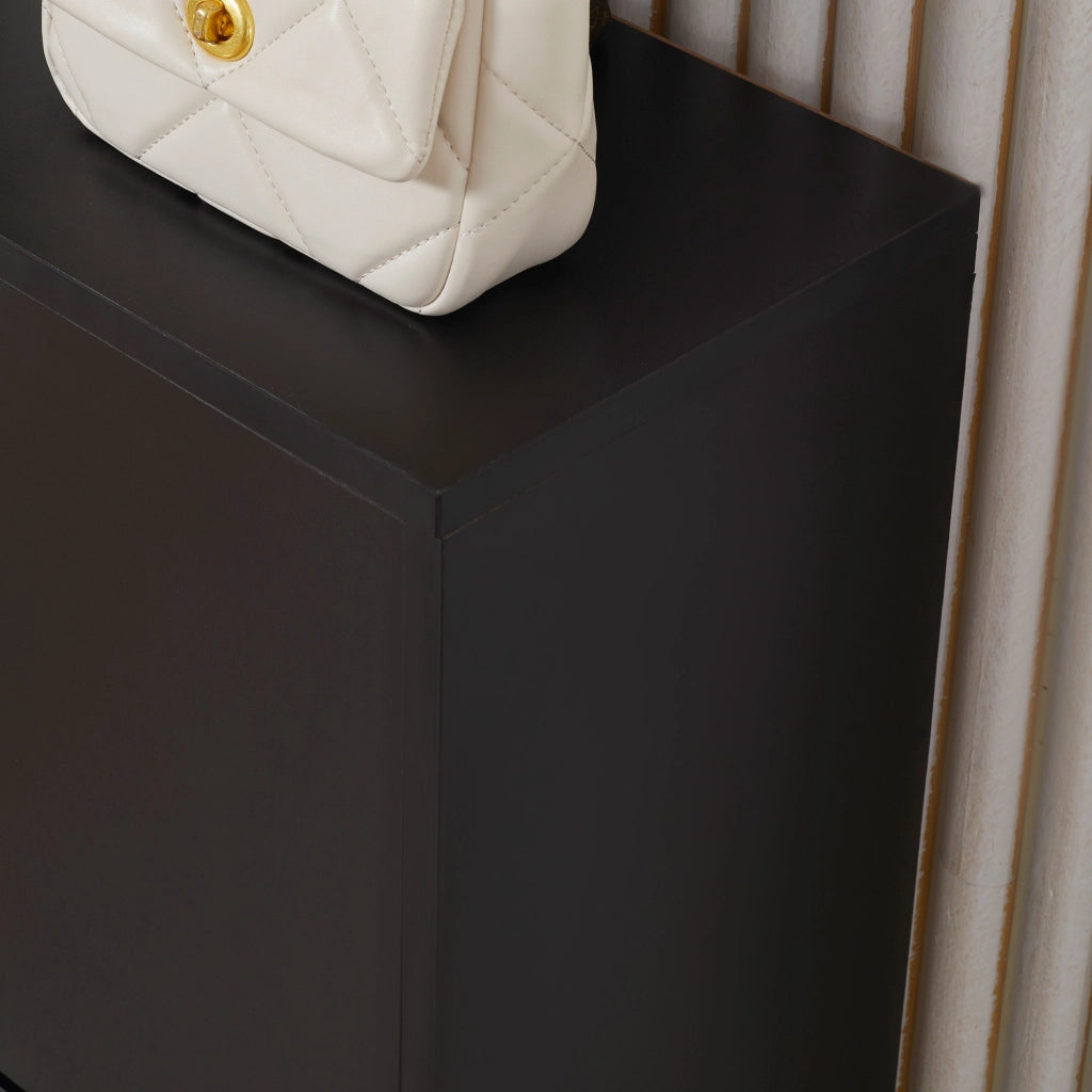 Armadio per scarpe con 2 ante ¨C zephmum ¨C nero 60x24x80 cm