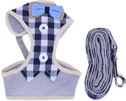 Abbigliamento per Gatti - Adattabile Cintura - Set di Cintura a Cappio - Vestizione Sicura - Tessuto Air Mesh Leggero - Taglia M