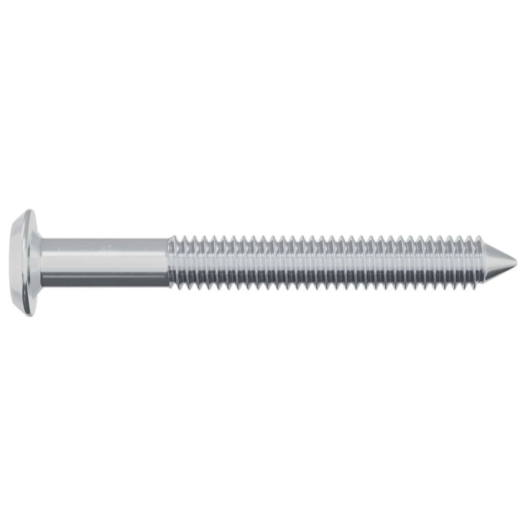 Vite 2 pz Argento M6 x 50 mm Acciaio CFW7366372