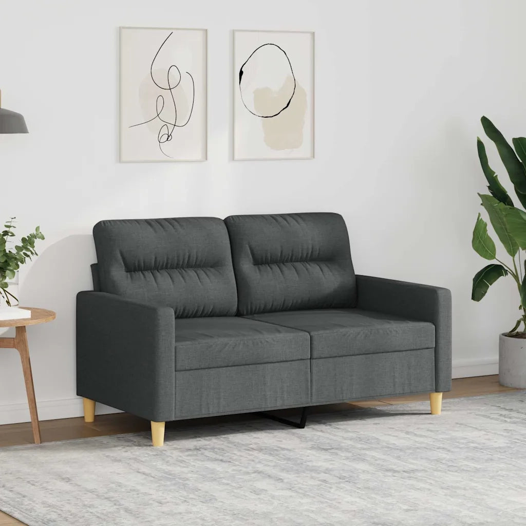 Divano a 2 Posti Grigio Scuro 120 cm in Tessuto 359228
