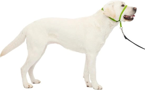 Halster Anti-Trekken per Cani per Allenamento e Escursione - Taglia L, Verde Pomo