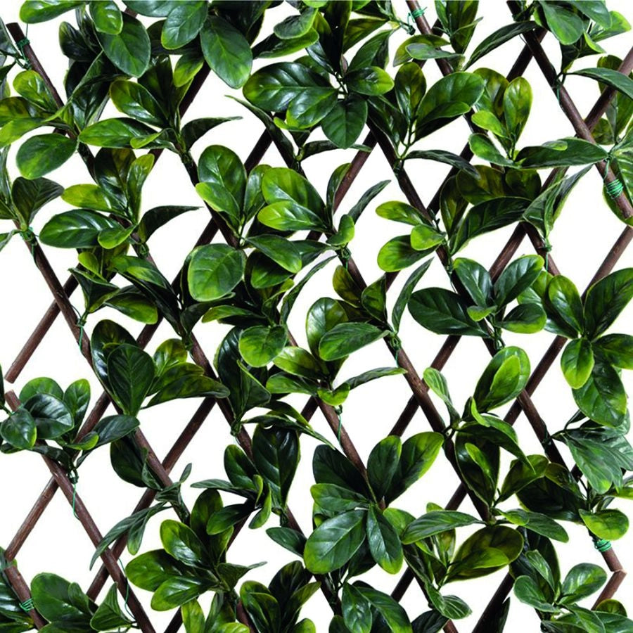 SIEPE ARTIFICIALE DA GIARDINO TRALICCIO ESTENSIBILE FOGLIE LAURO 1X2 MT VERDELOK
