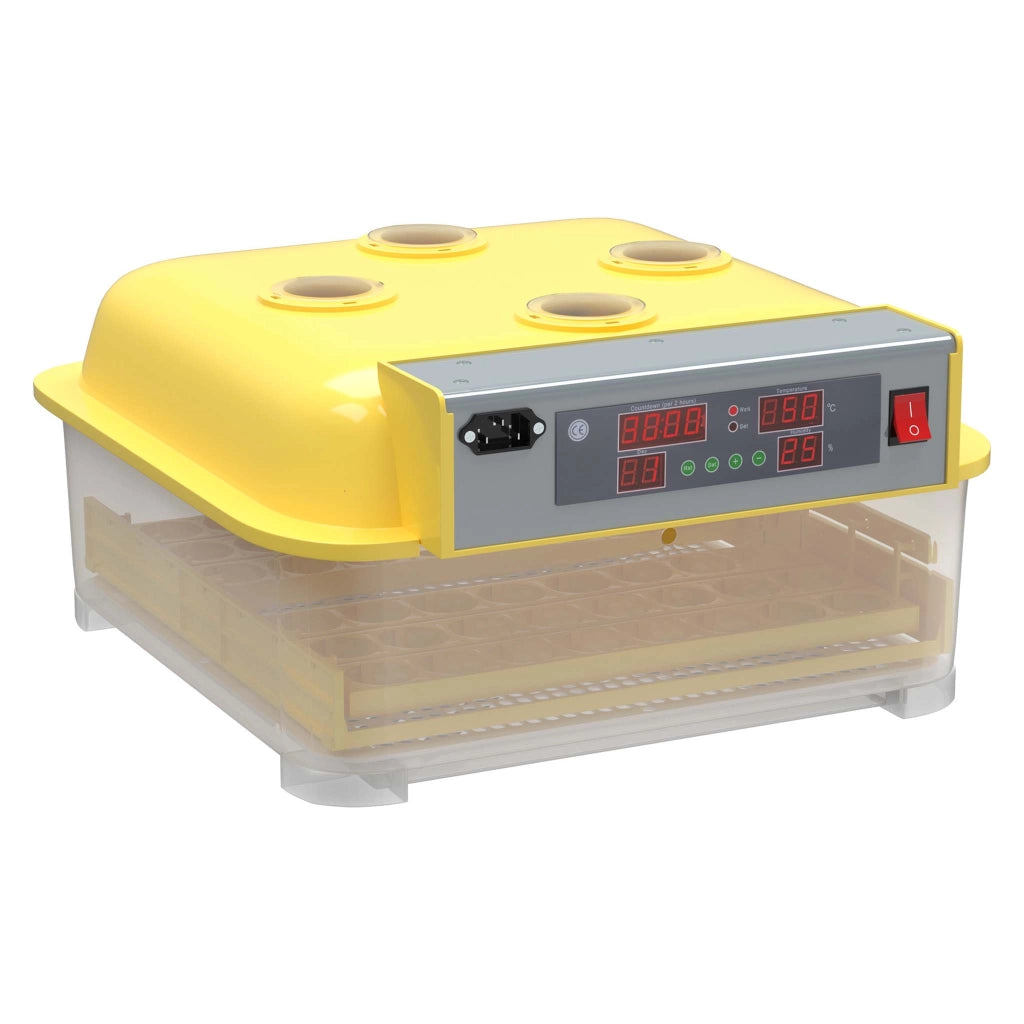 Incubatrice automatica per 48 uova, con regolazione temperatura e umidità, Covatrice