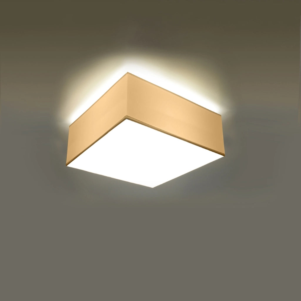 Plafoniera quadrata bianca 25 cm ANUBIS Pure Lume E27