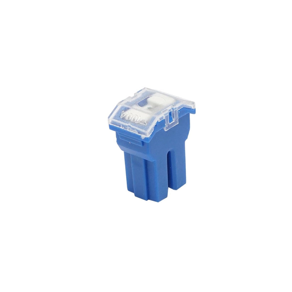 Fusibili per auto tipo femmina blu 100Amp