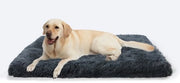 Letto per cani, Grande cuscino per cani, Lavabile, Piuma morbida per cani, Plume lunga, Piuma morbida, Materasso per cani multifunzionale, Grigio scuro, 100 x 60 x 10 cm