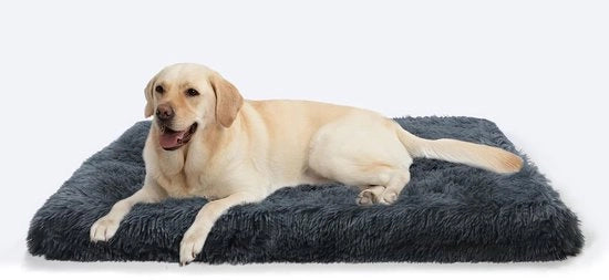 Letto per cani, Grande cuscino per cani, Lavabile, Piuma morbida per cani, Plume lunga, Piuma morbida, Materasso per cani multifunzionale, Grigio scuro, 100 x 60 x 10 cm