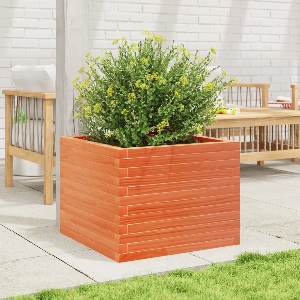 Fioriera | Cassetta per fiori | Vaso Giardino Marrone Cera 60x60x45,5cm Legno Massello Pino
