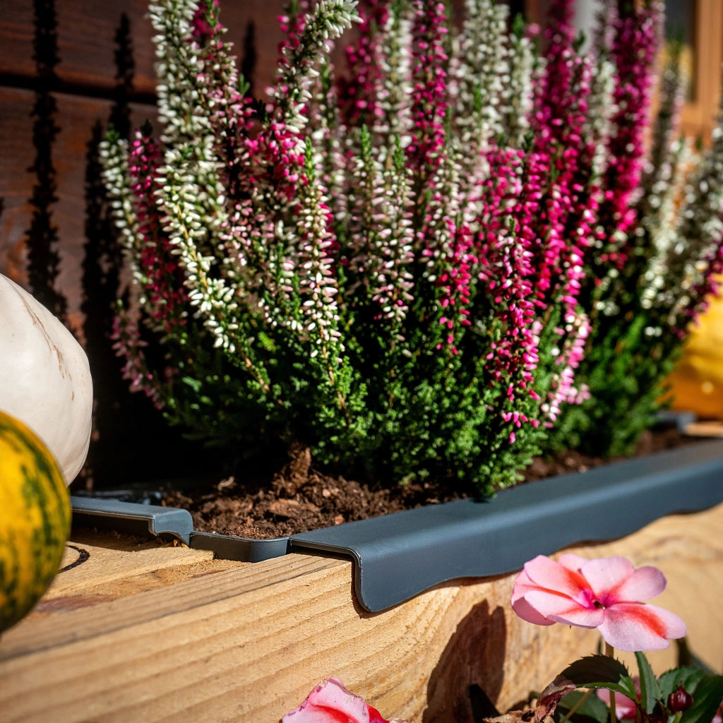 Vaso da fiori KADAX, vasi da fiori per Europallets, scatola da 40 cm, 16 pezzi