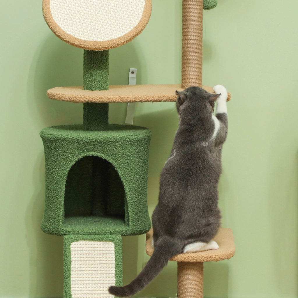 Tiragraffi verde ad albero 139 cm con cuccia, rampe e giochi