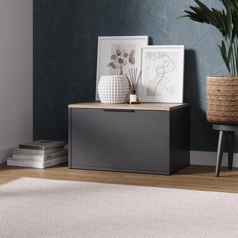 Credenza Betti, Antracite/Sonoma, 60 x 36 cm con porte, adatto per la conservazione in soggiorno o in camera da letto