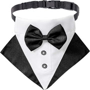 Set di abbigliamento per cani di lusso - collare da cerimonia, cravatta a farfalla e sciarpa per cani grandi (grande)