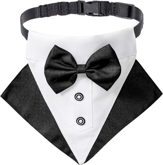 Set di abbigliamento per cani di lusso - collare da cerimonia, cravatta a farfalla e sciarpa per cani grandi (grande)