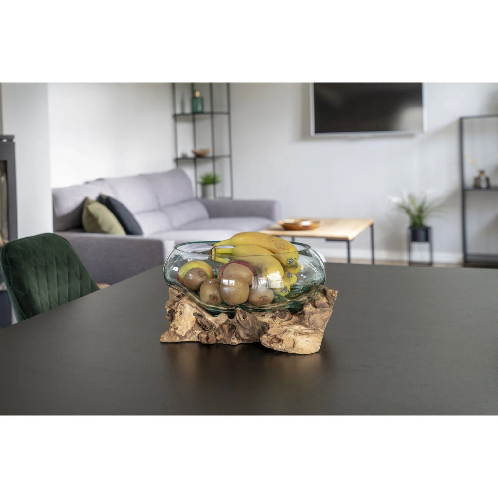 Terrario San Marino in vetro a conca ovale su grande base in radice di teak 26x26xh20 cm
